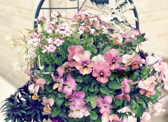 寄せ植え・その他の外構工事