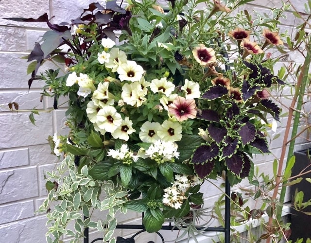 植栽地の縁止め